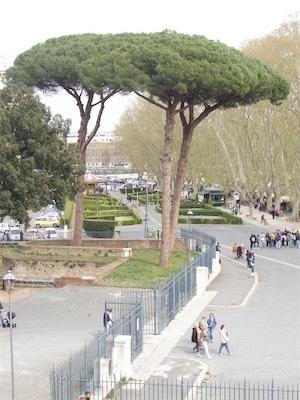 rome-110.jpg