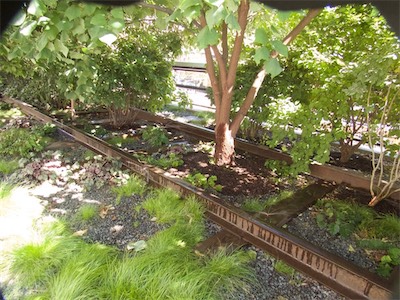nyc-139.jpg