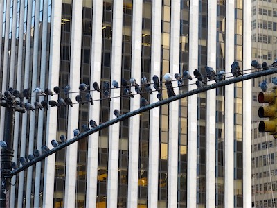 nyc-79.jpg