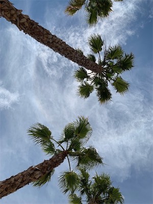 valencia-108.jpg
