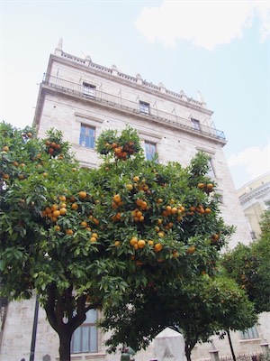 valencia-54.jpg