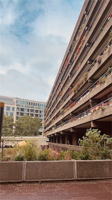 London-2025 - 20.jpeg