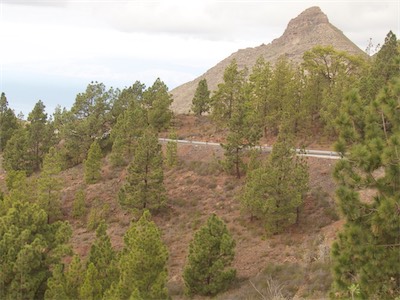 tenerife-16.jpg