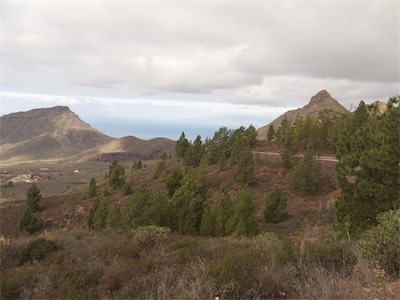 tenerife-18.jpg
