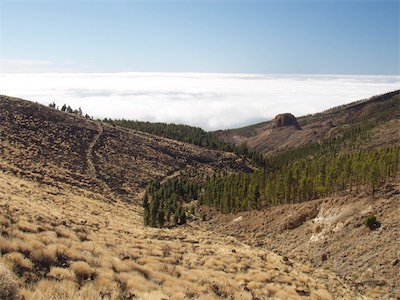 tenerife-35.jpg