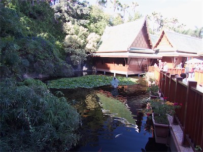 tenerife-37.jpg