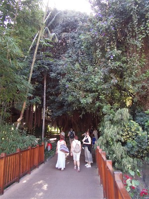 tenerife-57.jpg