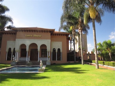 tenerife-62.jpg