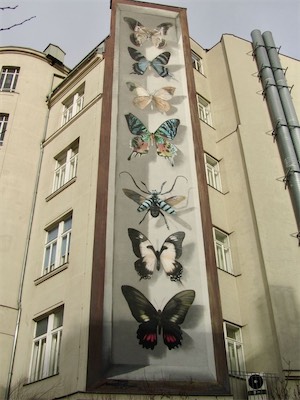 wenen-151.jpg