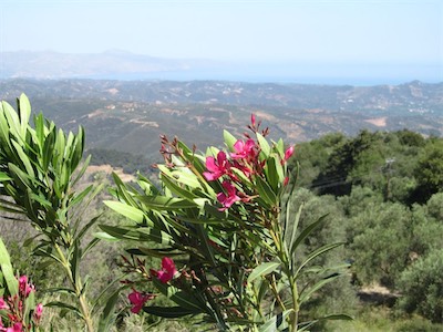 kreta-106.jpg