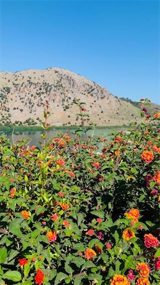 kreta-186.jpg