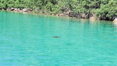 kreta-199.jpg
