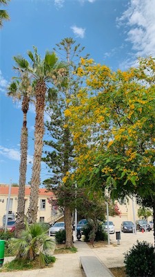 kreta-54.jpg