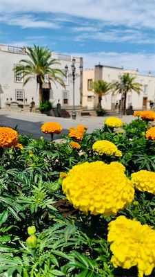 gran-canaria-35.jpg