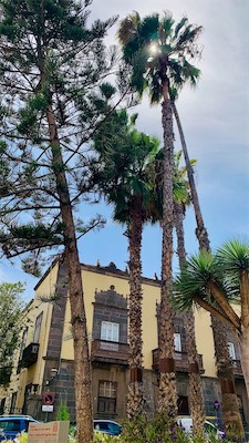 gran-canaria-36.jpg