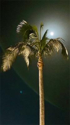 gran-canaria-67.jpg