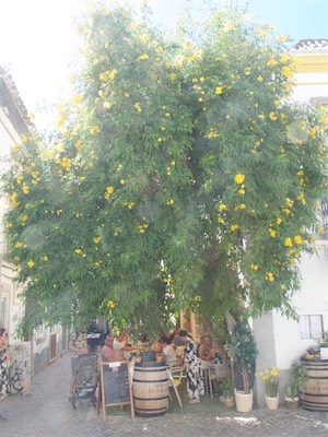 algarve-127.jpg