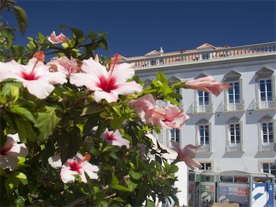 algarve-131.jpg