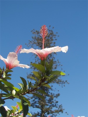 algarve-132.jpg