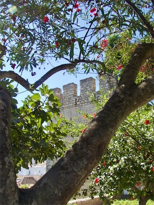 algarve-150.jpg