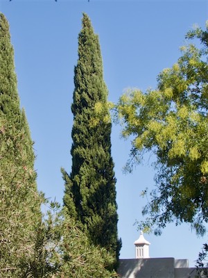 algarve-191.jpg