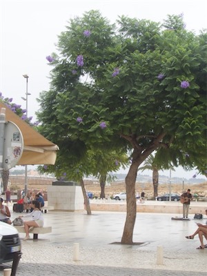 algarve-43.jpg